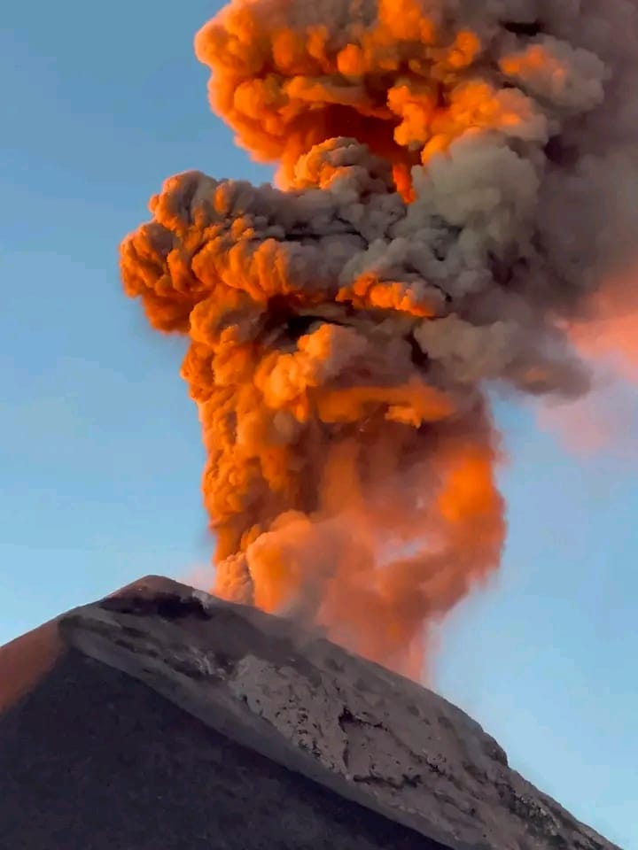 2026 01 03 at 10.26.34 am (2)