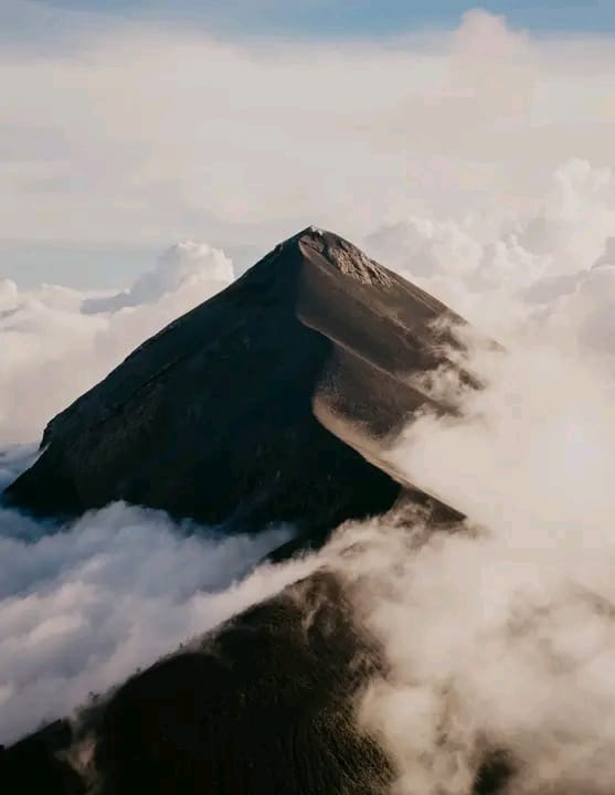 2026 01 03 at 10.26.34 am