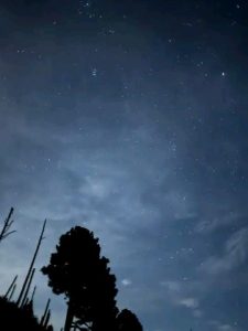 2026 01 03 at 10.26.35 am