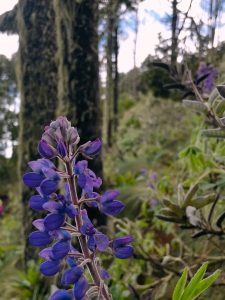 2026 01 03 at 10.26.35 am (5)