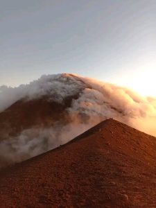 2026 01 03 at 10.26.36 am (3)